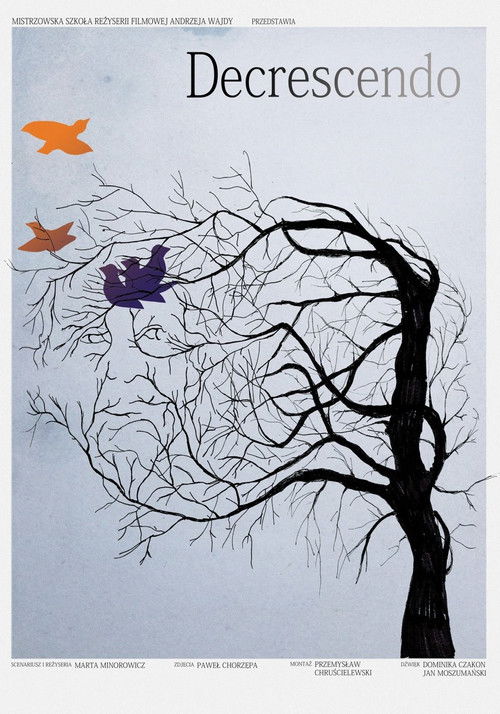 Decrescendo (2011) poster