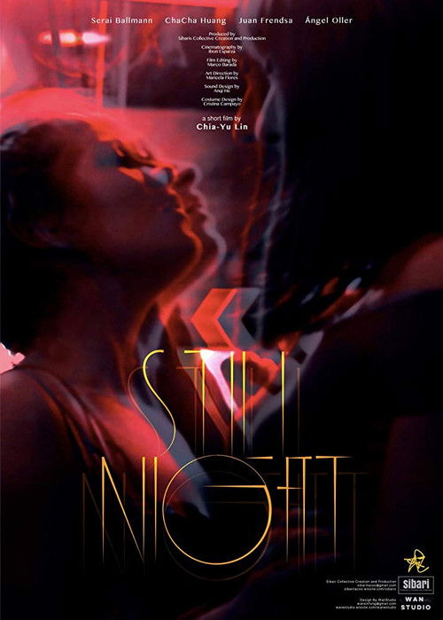 Still Night (2018) poster