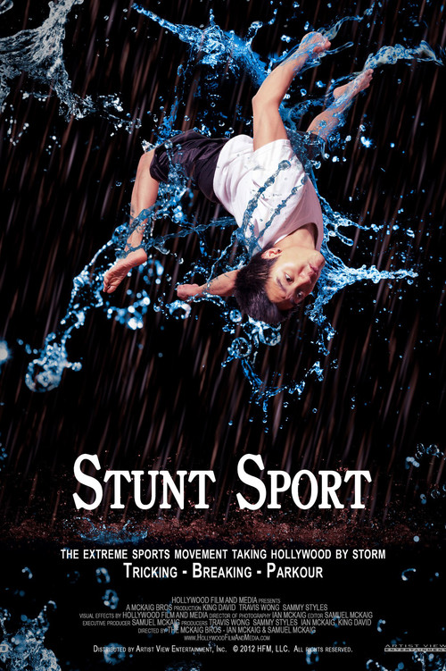Stunt Sport (2014) poster