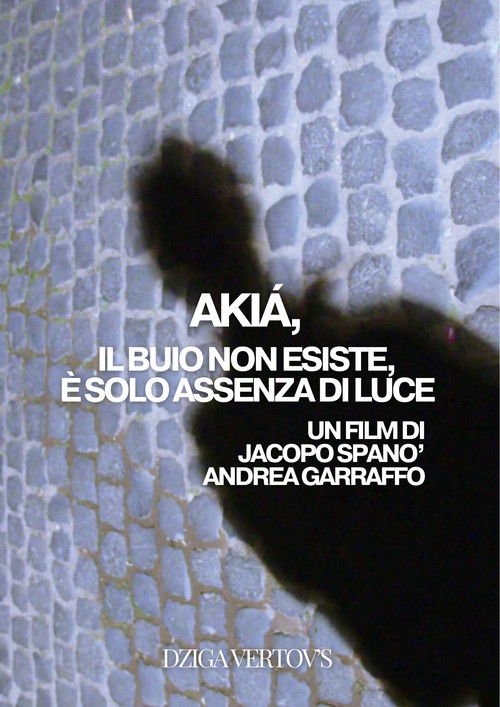 σκιά: Il buio non esiste, è solo assenza di luce (2024) poster