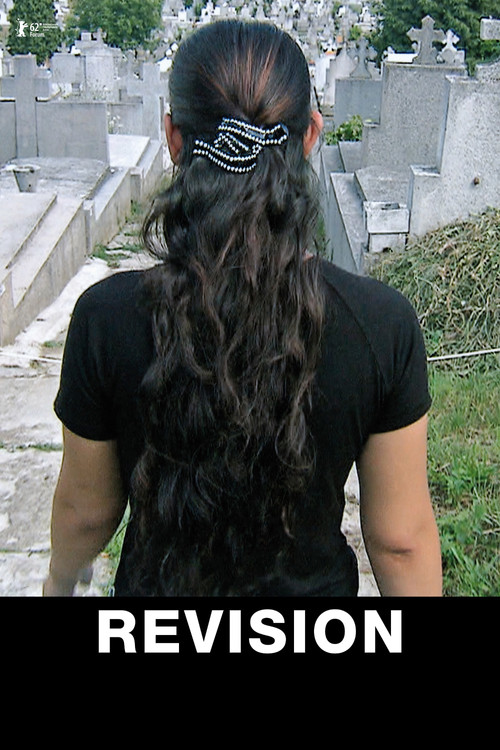Revision (2012) poster