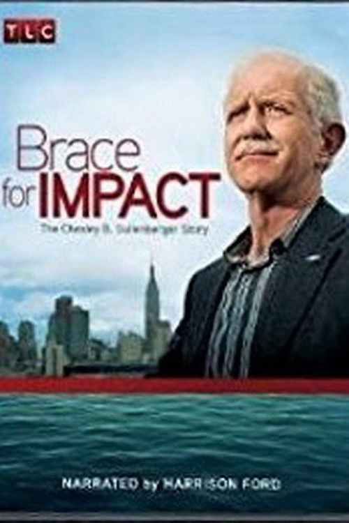 Brace for Impact: The Chesley B. Sullenberger Story (2010) poster