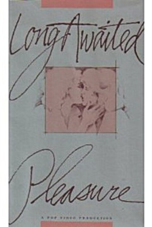 Long Awaited Pleasure (1989) poster
