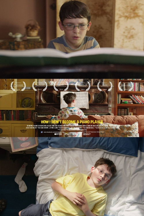 How I Didn't Become a Piano Player (2014) poster
