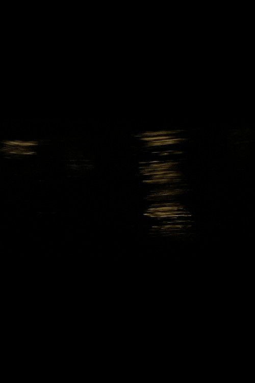 Donaukanalwalzer (2023) poster