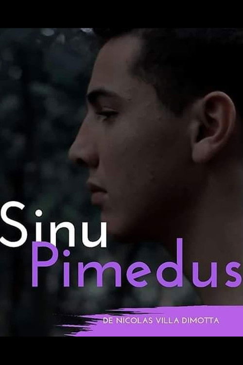 Sinu Pimedus (2019) poster