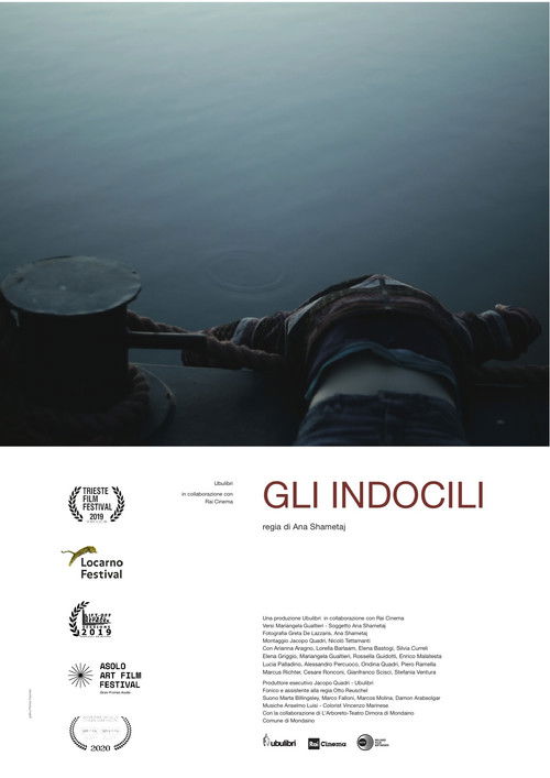 Gli indocili (2019) poster