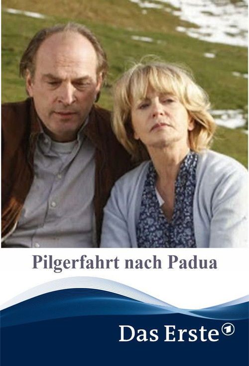 Pilgerfahrt nach Padua (2011) poster