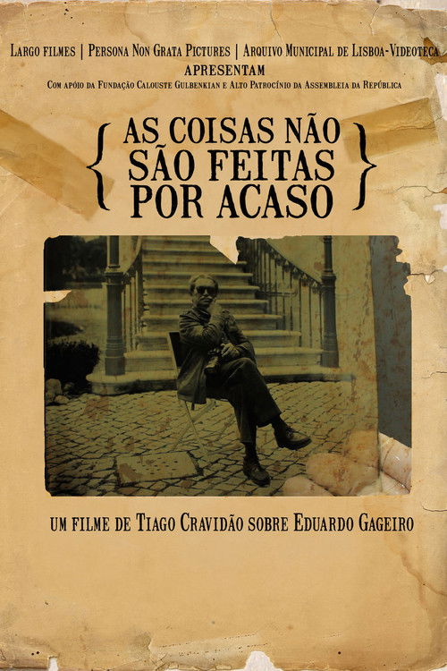 As coisas não são feitas por acaso (2013) poster