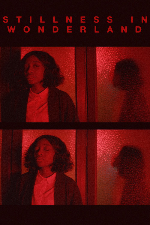 STILLNESS IN WONDERLAND: THE FILM (2016) poster