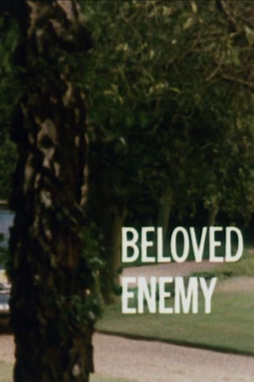 Beloved Enemy (1981) poster