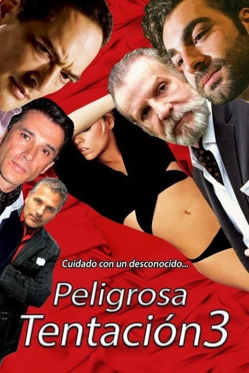 Peligrosa tentación 3 (2016) poster