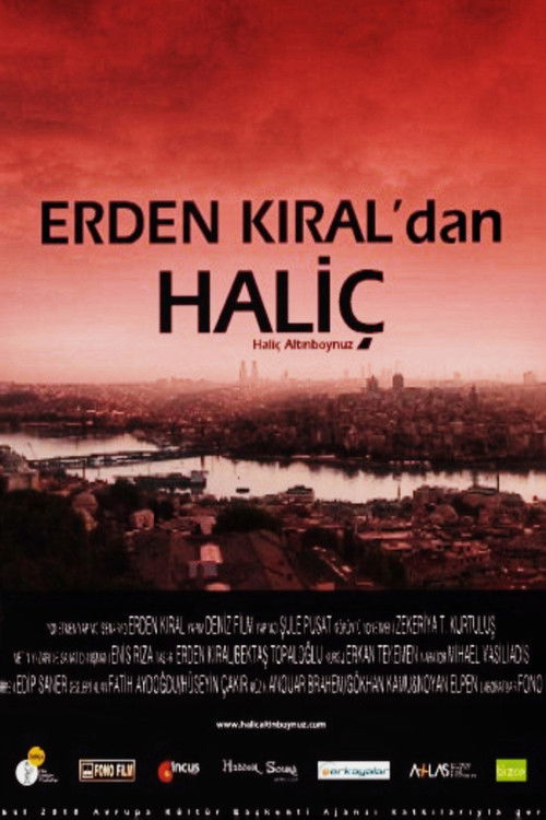 Haliç (2010) poster
