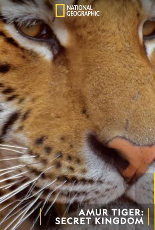 Siberian Tiger, The Secret Kingdom (2023) poster