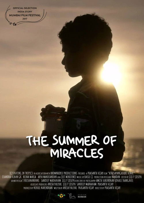 The Summer of Miracles (2017) poster