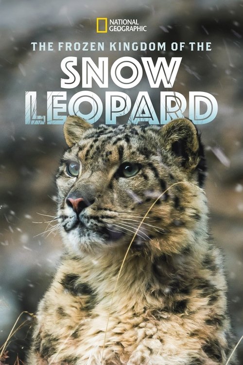 Le Royaume du léopard des neiges (2020) poster