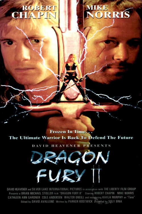 Dragon Fury II (1996) poster