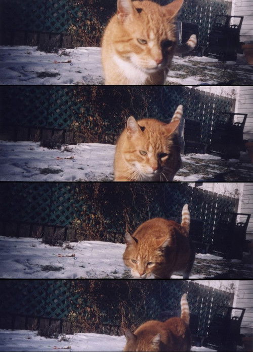 Nobody Knows (2002) poster