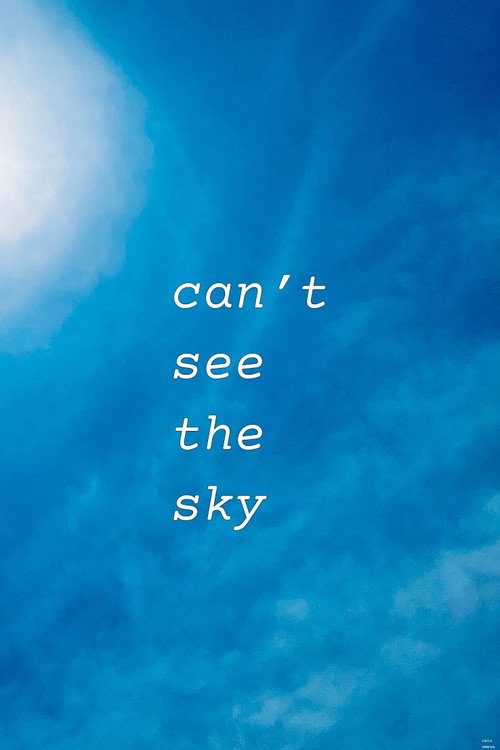Can’t See The Sky (2024) poster