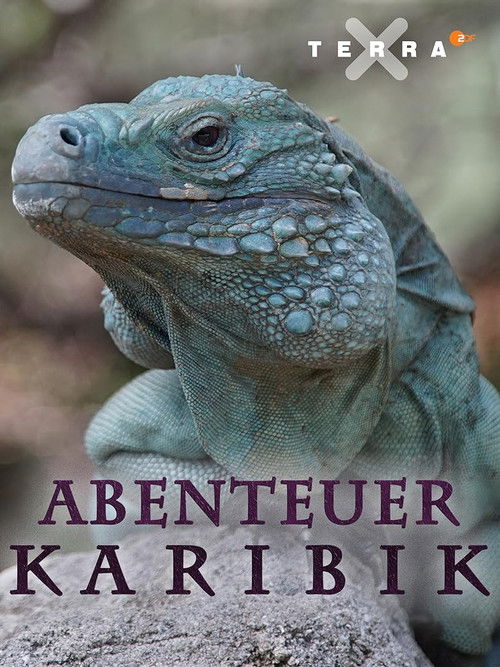 Abenteuer Karibik (2017) poster