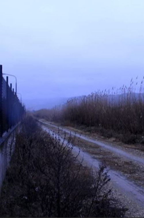 After The Rain (2017) poster