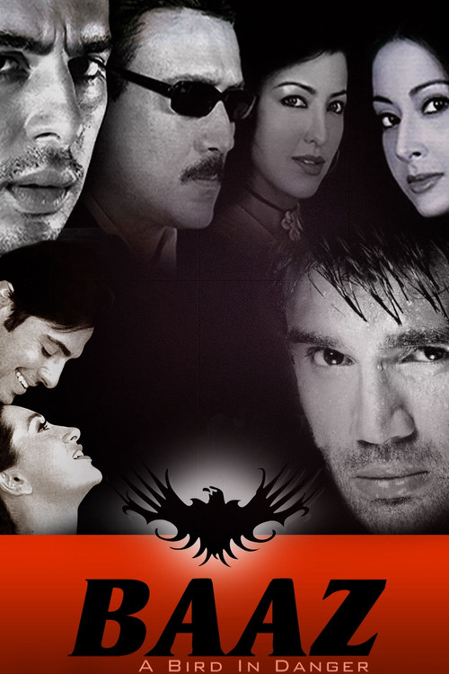 Baaz: A Bird in Danger (2003) poster