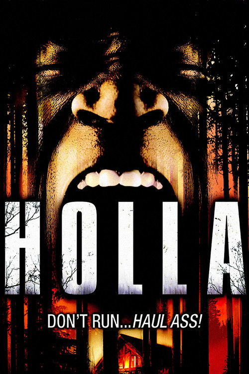 Holla (2006) poster