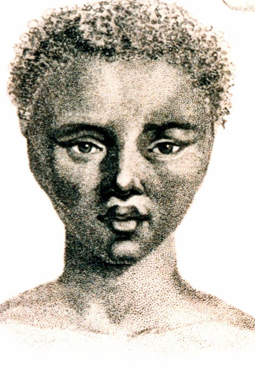 The Life and Times of Sara Baartman (1998) poster