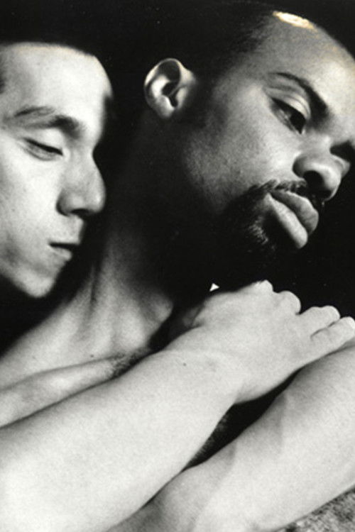 Thick Lips Thin Lips (1994) poster