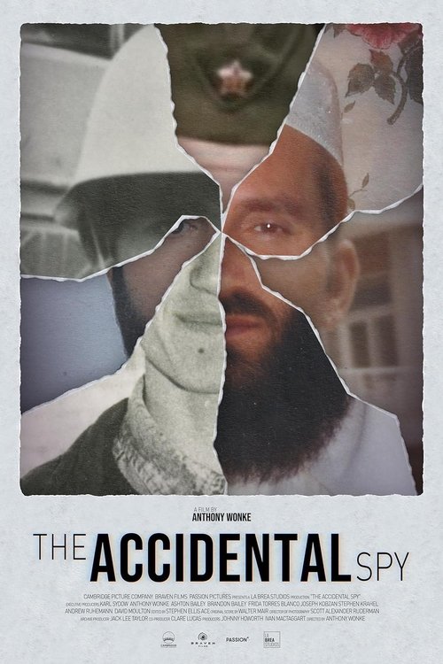 The Accidental Spy (2024) poster