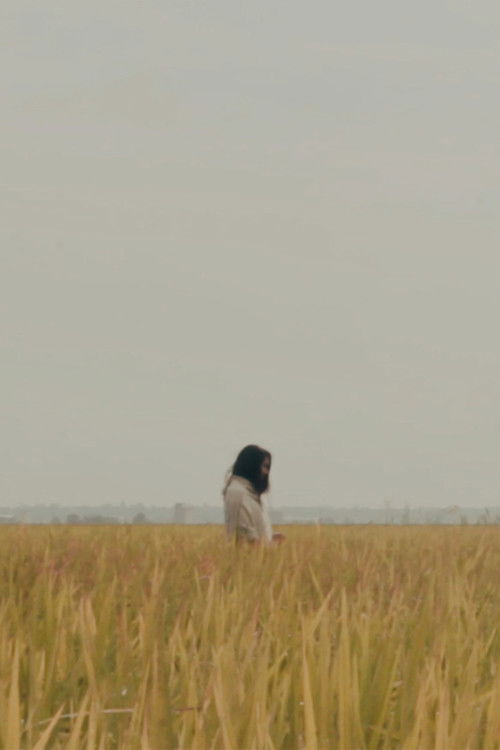 The Lost Piece (2018) poster