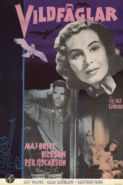 Vildfåglar (1955) poster