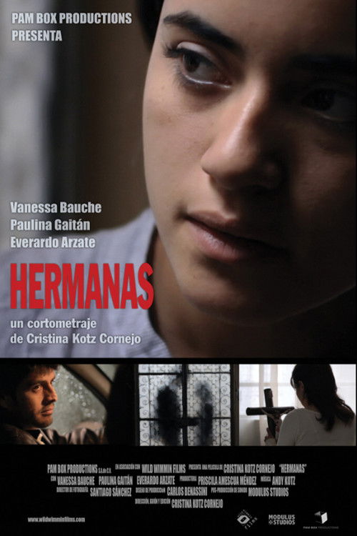 Hermanas (2013) poster