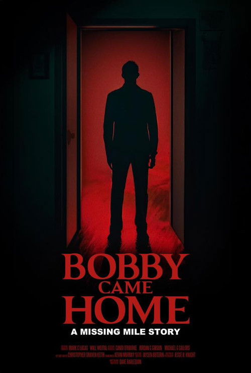 Bobby Came Home poster