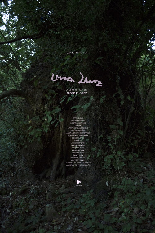 Una Lluz (2024) poster
