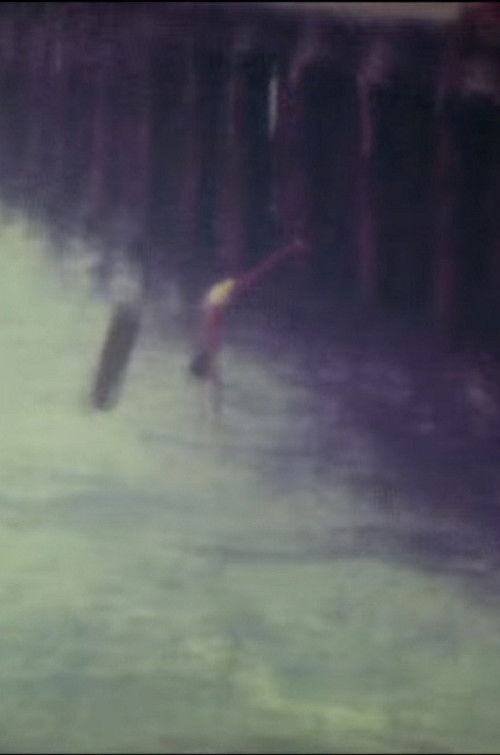 Supermemórias (2010) poster