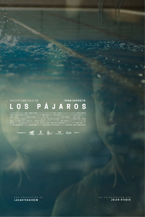 Los pájaros (2026) poster