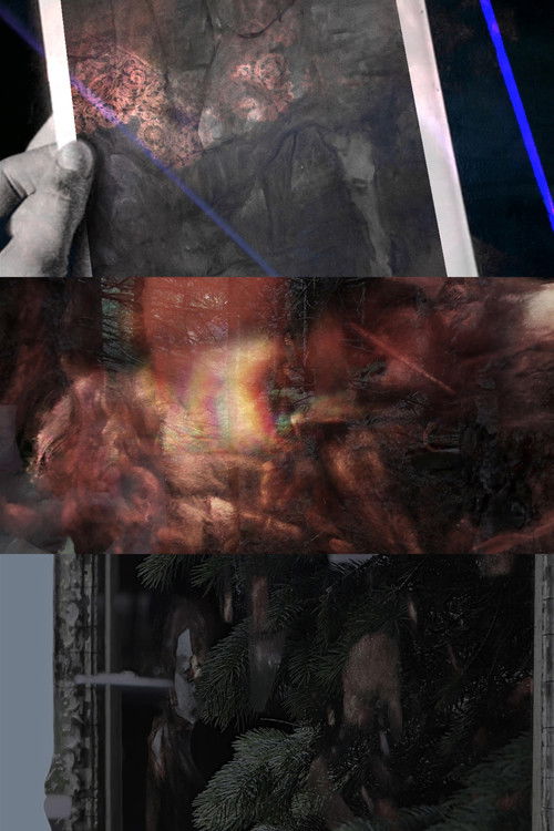 a minor piece of damage (2020) poster