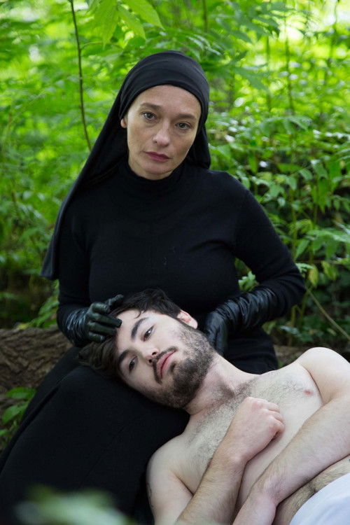 Haldernablou - Triptyque (2015) poster