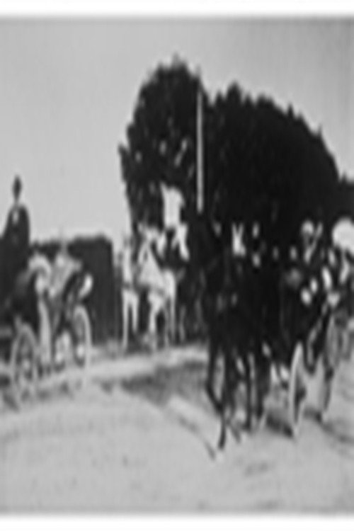 Vienne : retour des courses (1896) poster