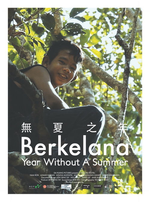 Year Without a Summer (2010) poster