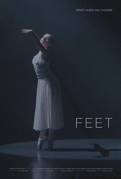 Feet (2018) poster