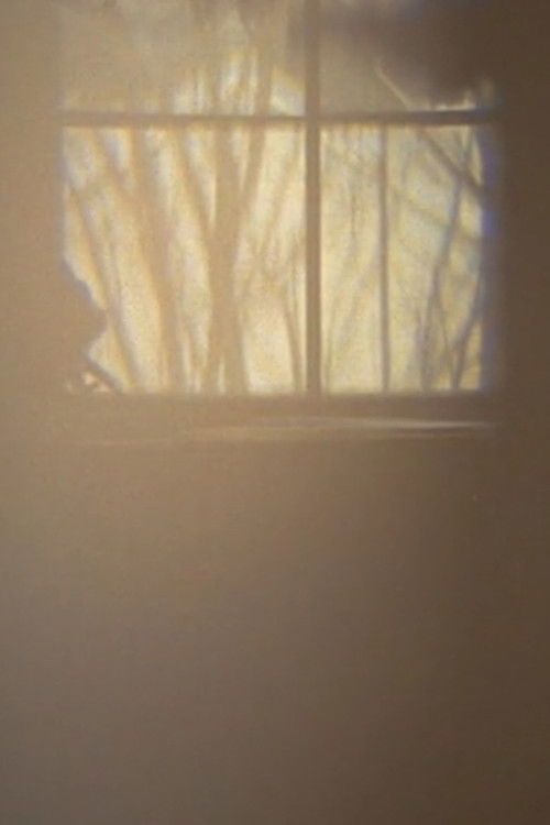 First Law: Quail Ct. (2011) poster