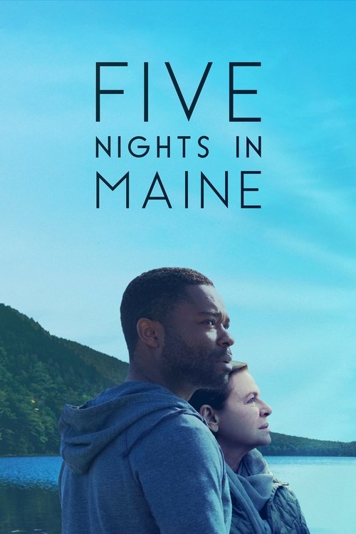 Five Nights in Maine (2016) poster
