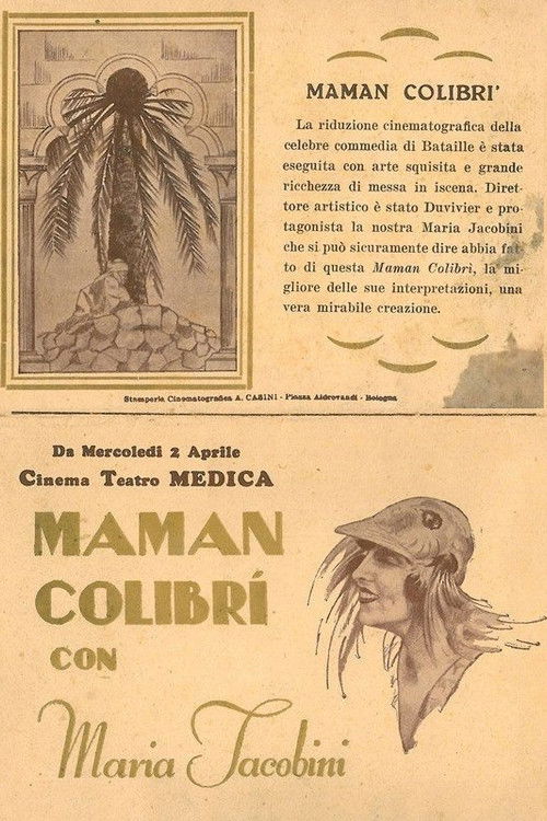 Mother Hummingbird (1929) poster