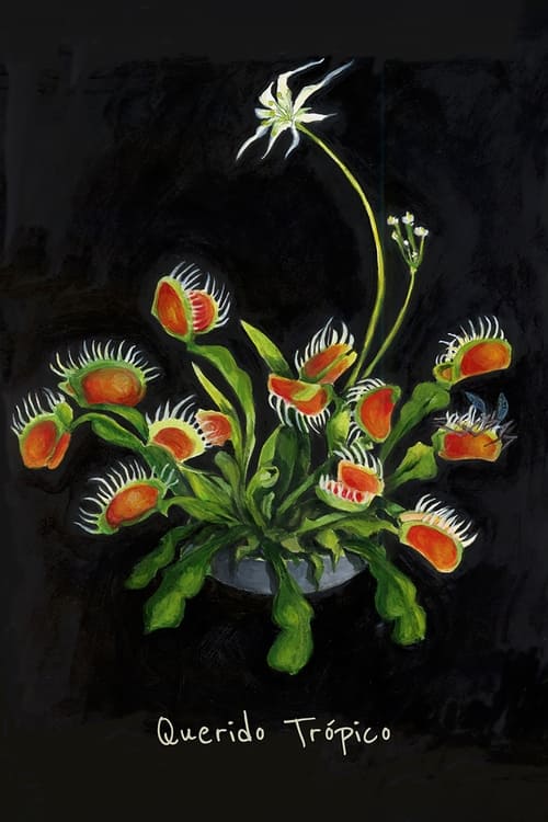 Querido Trópico (2025) poster