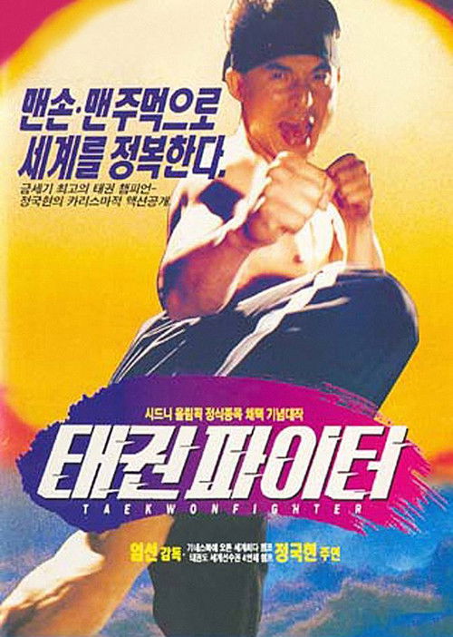 Taekwon Fighter (1995) poster