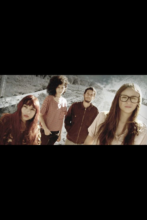 Vivir de paso (2014) poster