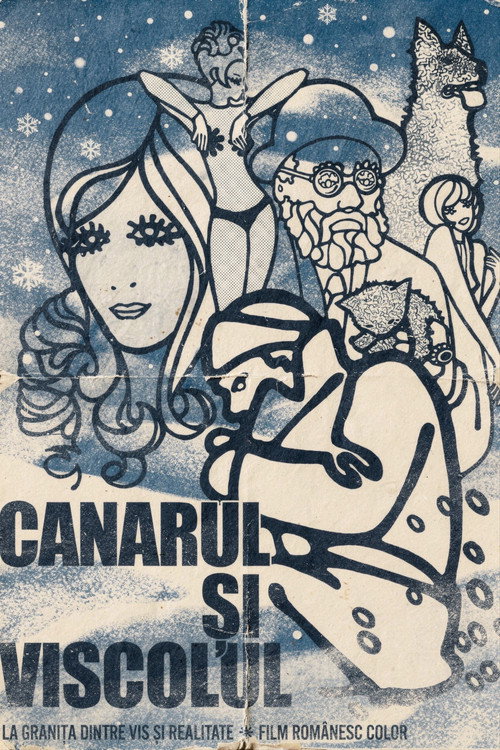 Canarul și viscolul (1970) poster