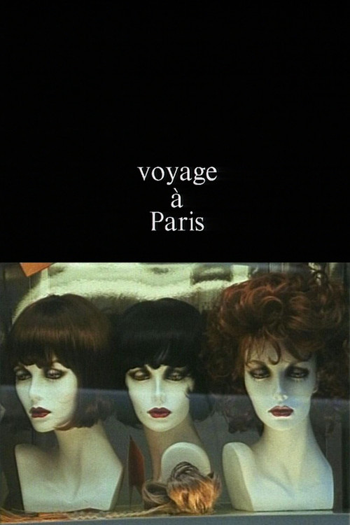Voyage à Paris (1993) poster